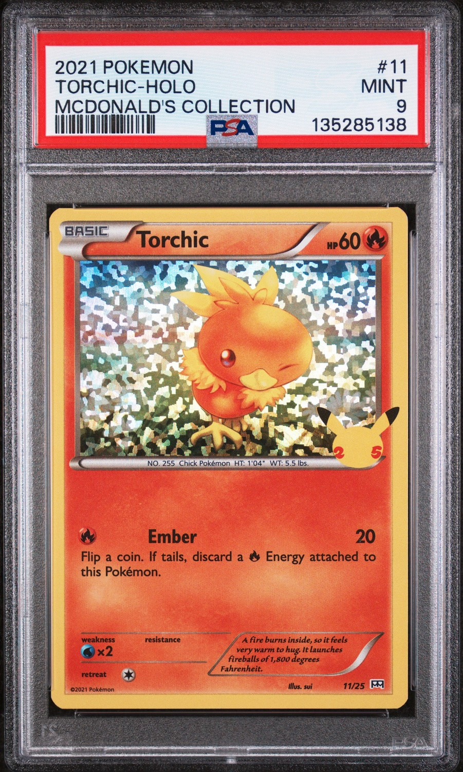 Torchic