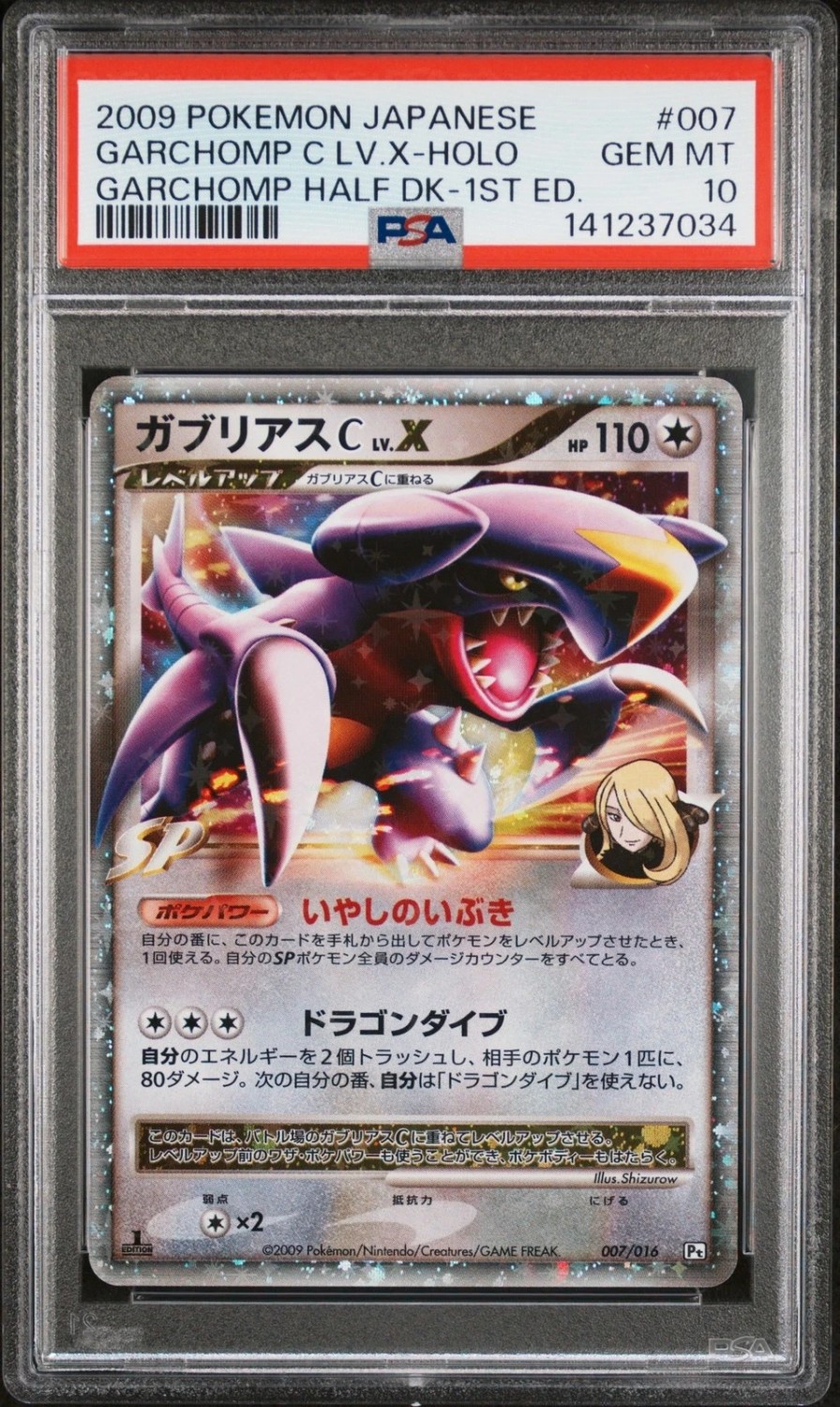 GARCHOMP C LV.X