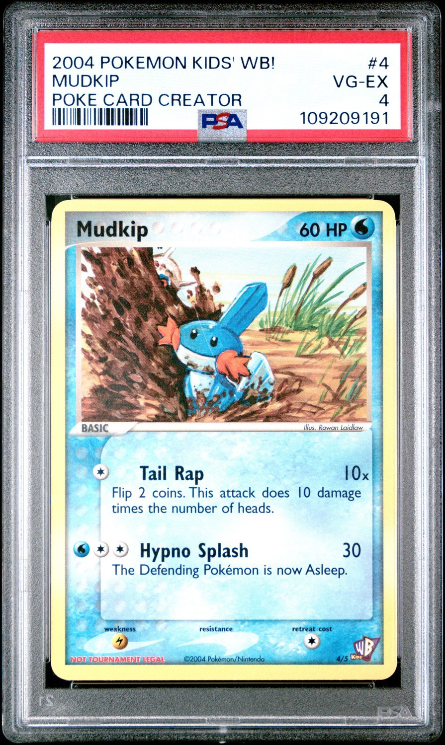 Mudkip