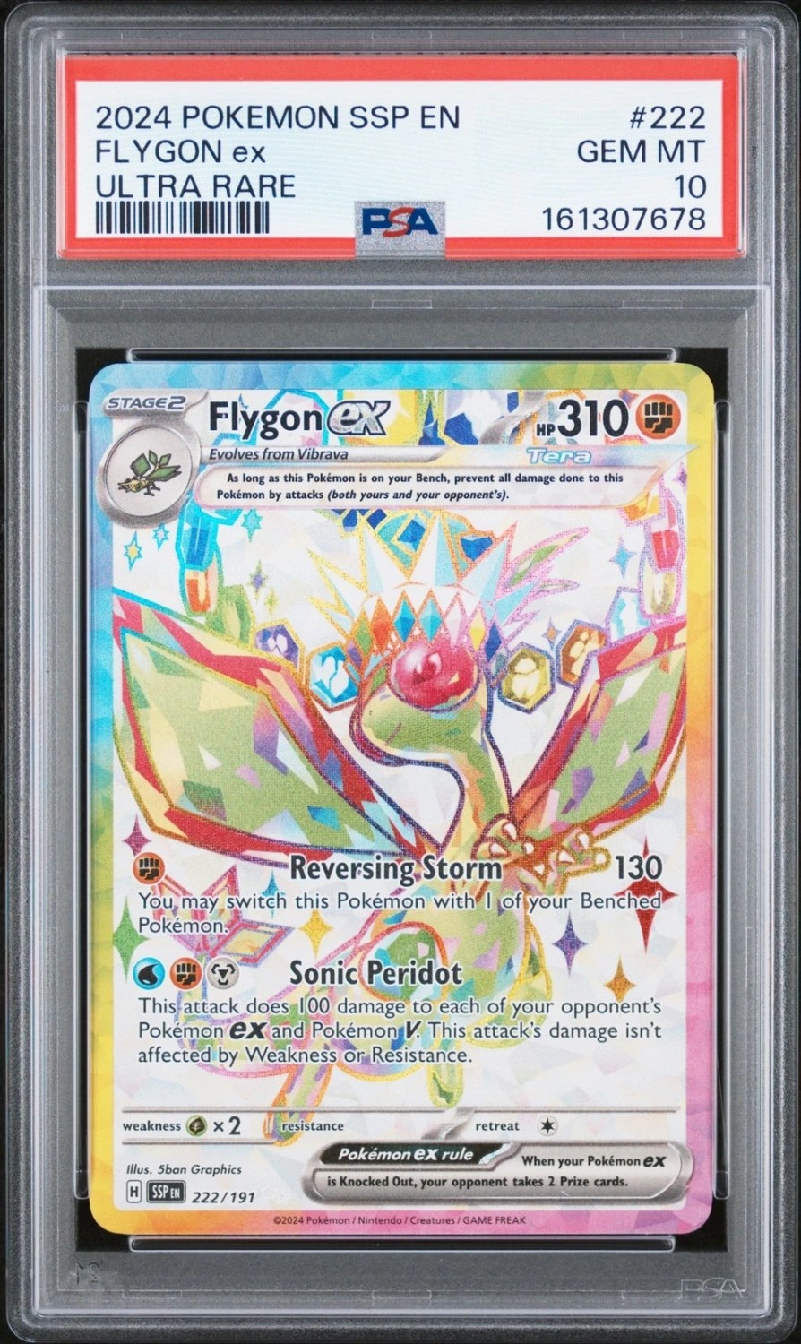 FLYGON ex