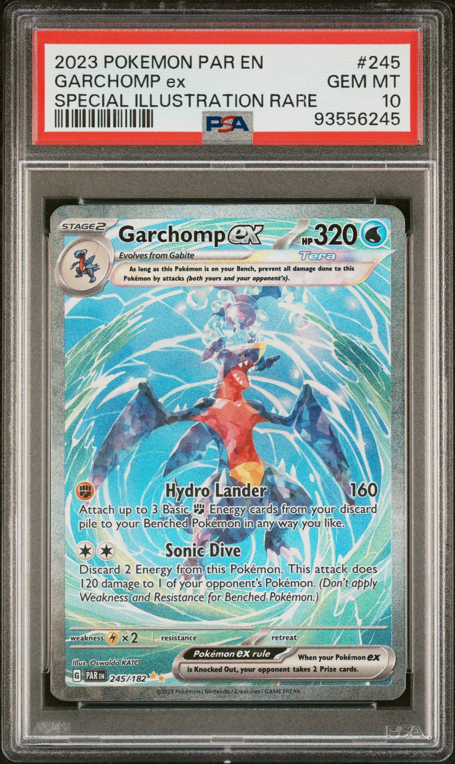 GARCHOMP ex