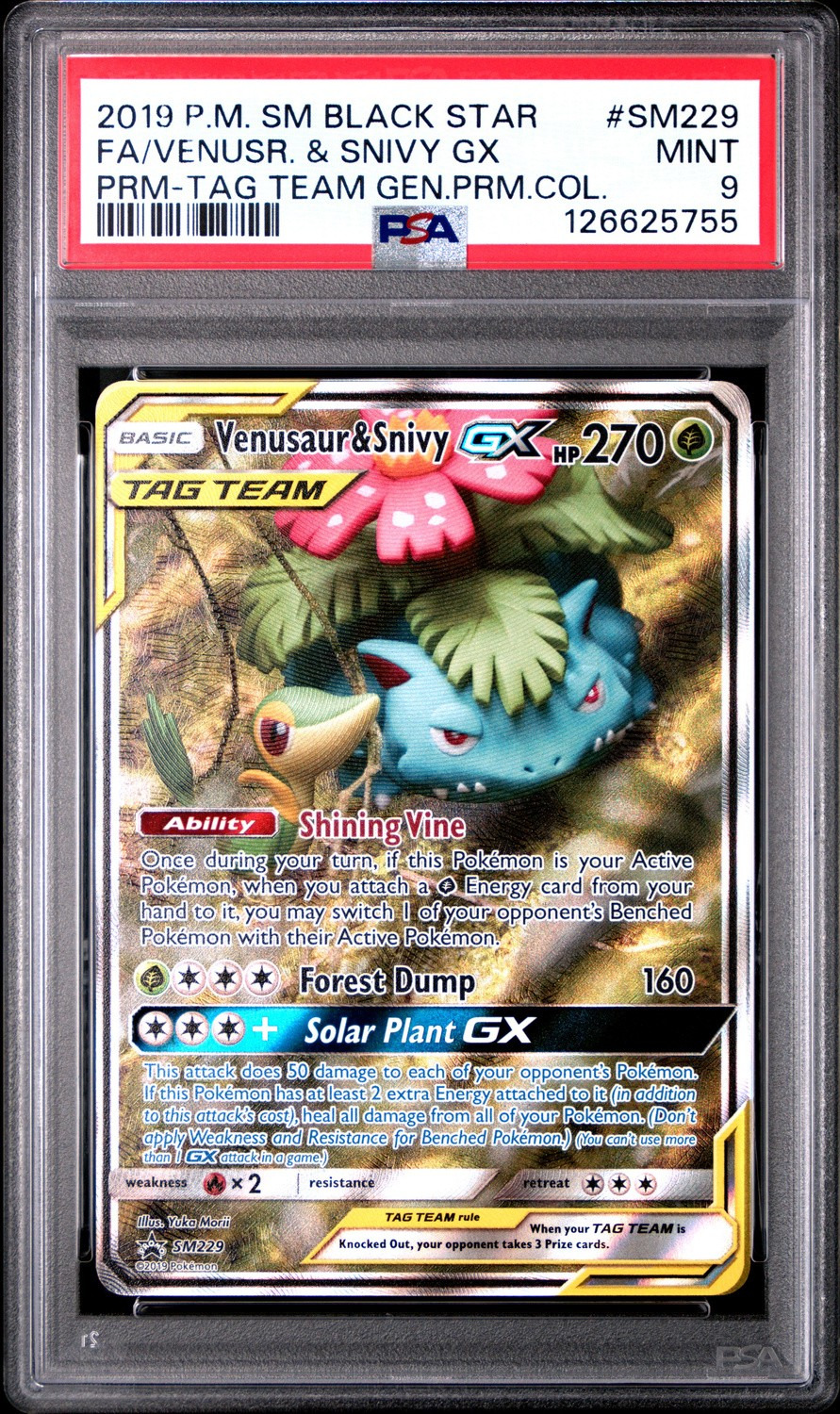 Venusaur & Snivy GX
