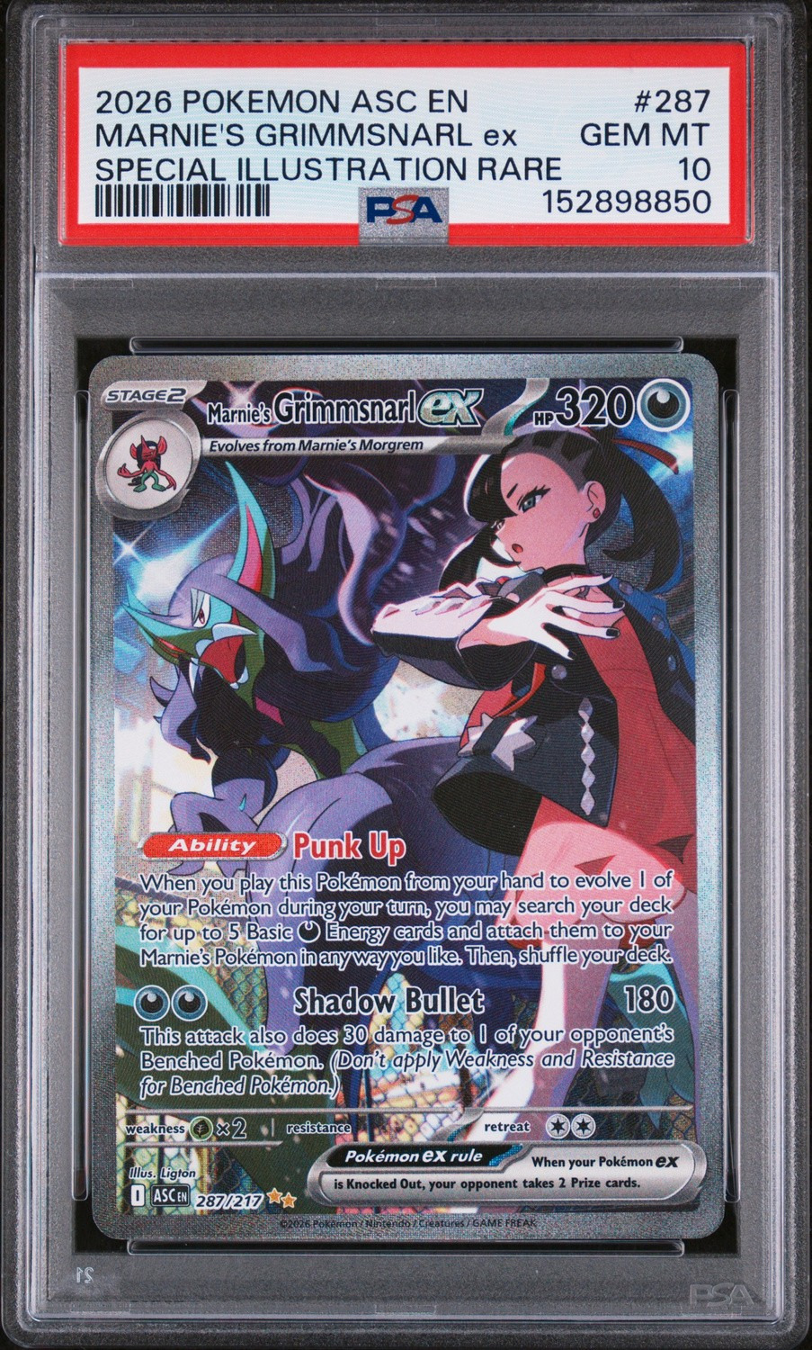 MARNIE'S GRIMMSNARL ex