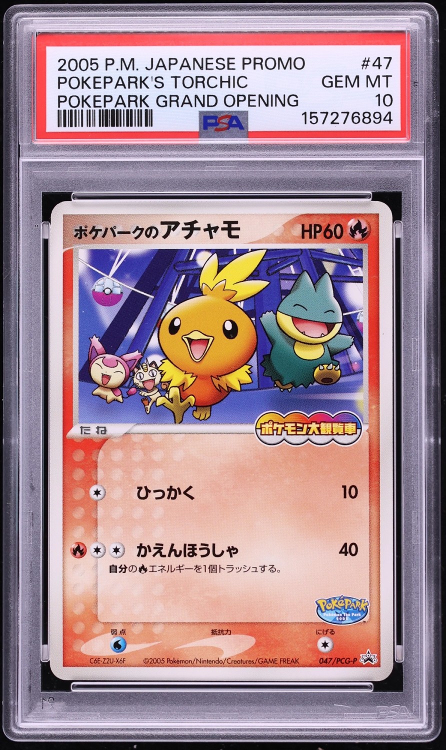 Pokepark'S Torchic