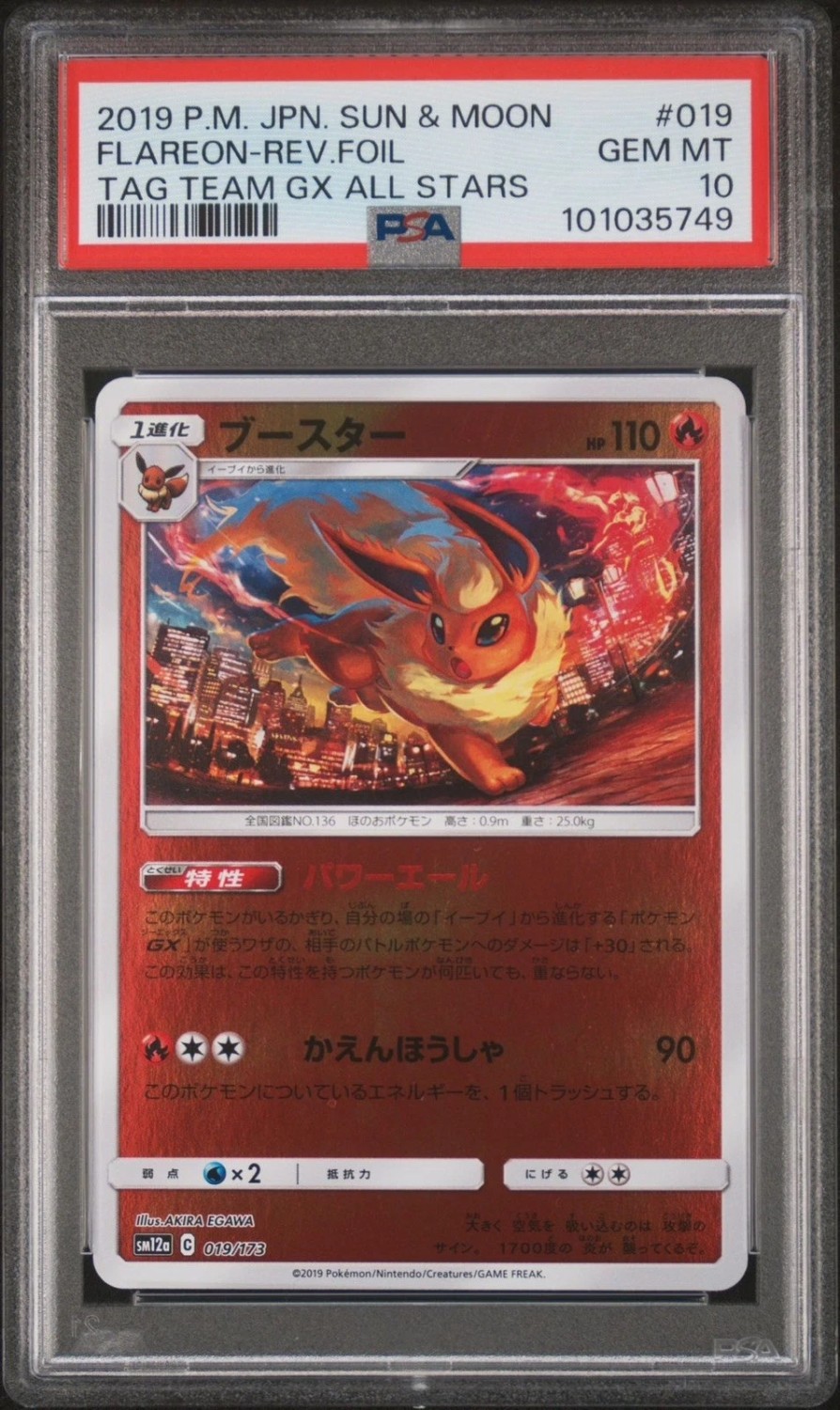 TCG Cards