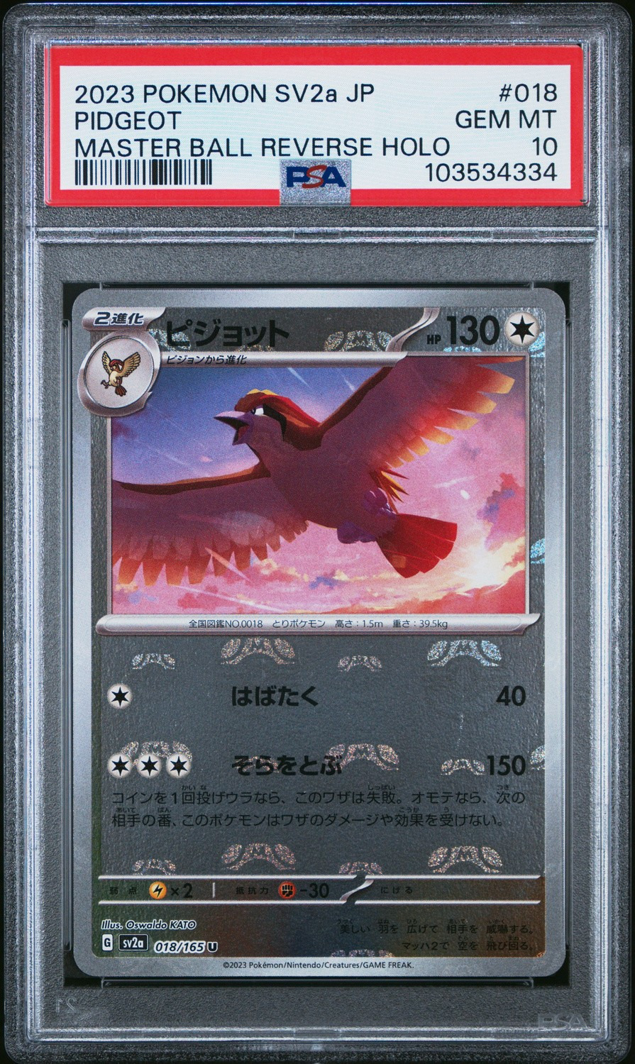 Pidgeot