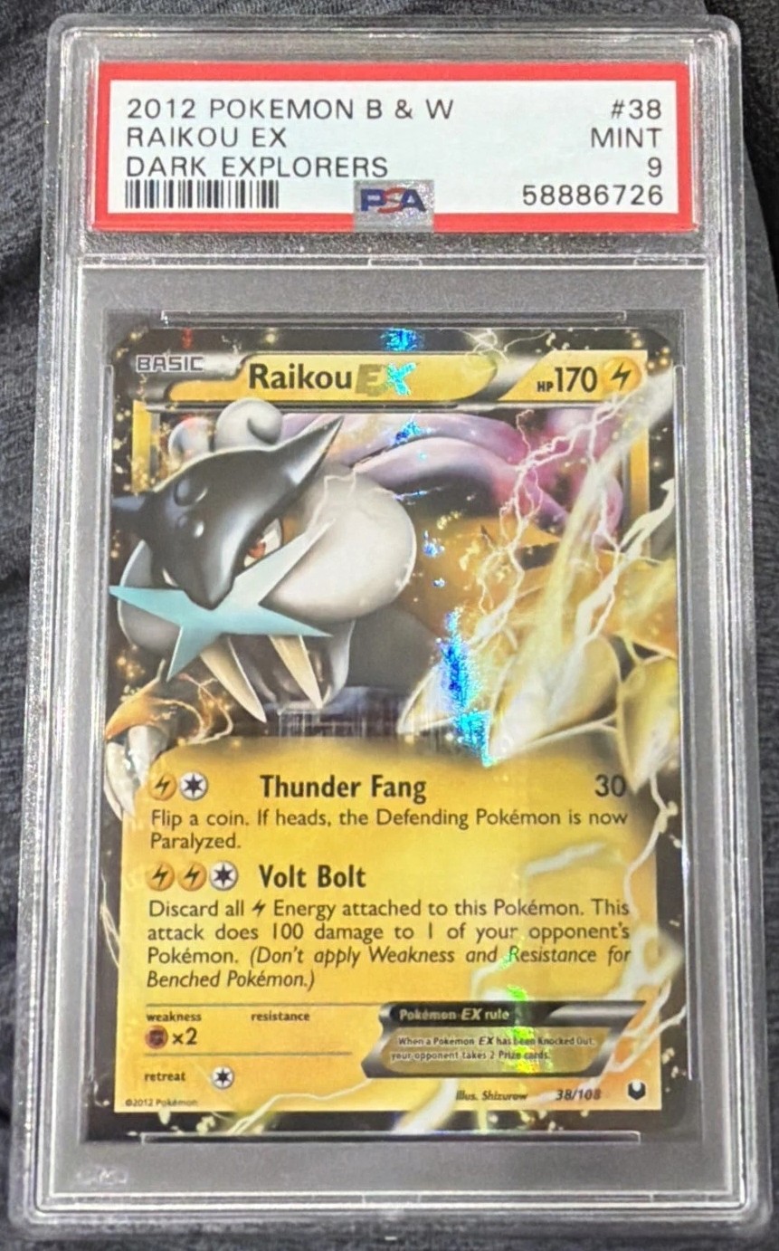 Raikou EX