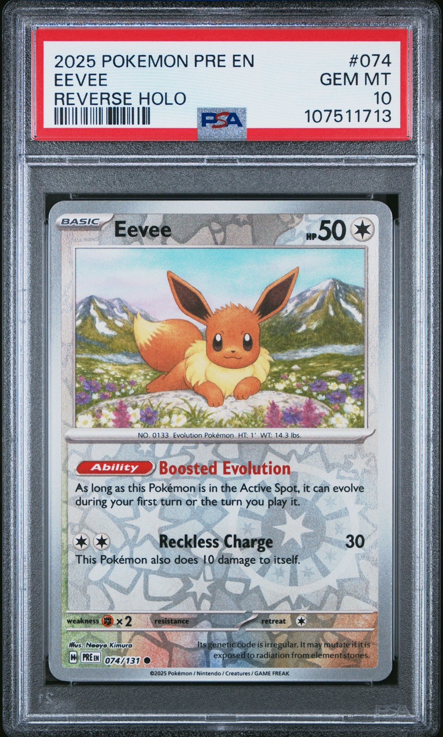 EEVEE