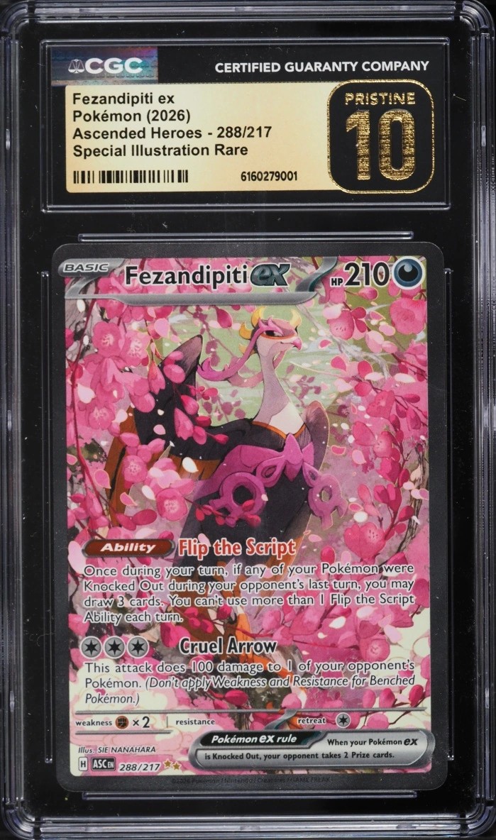 FEZANDIPITI ex