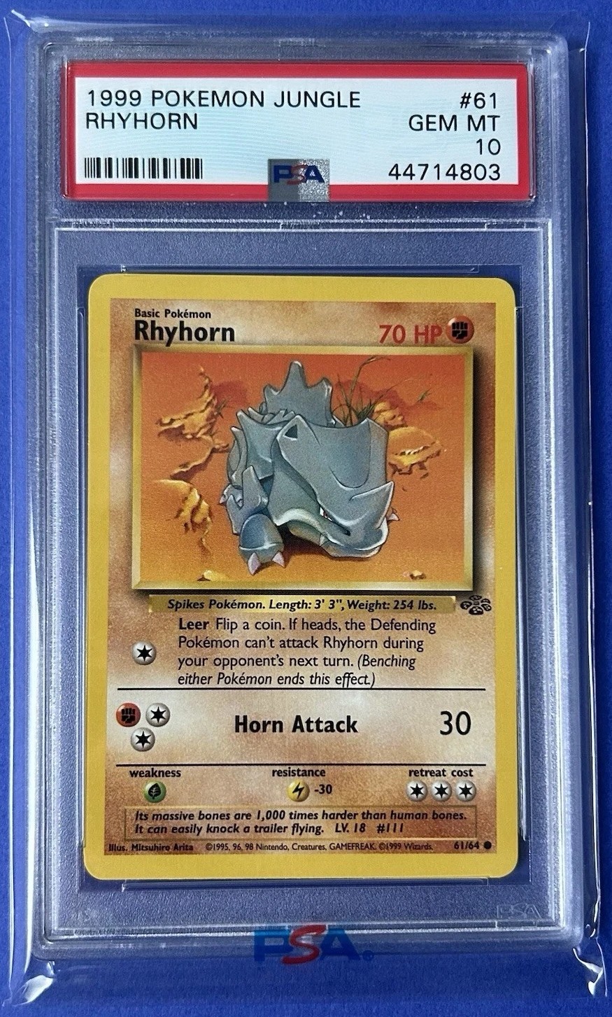 Rhyhorn