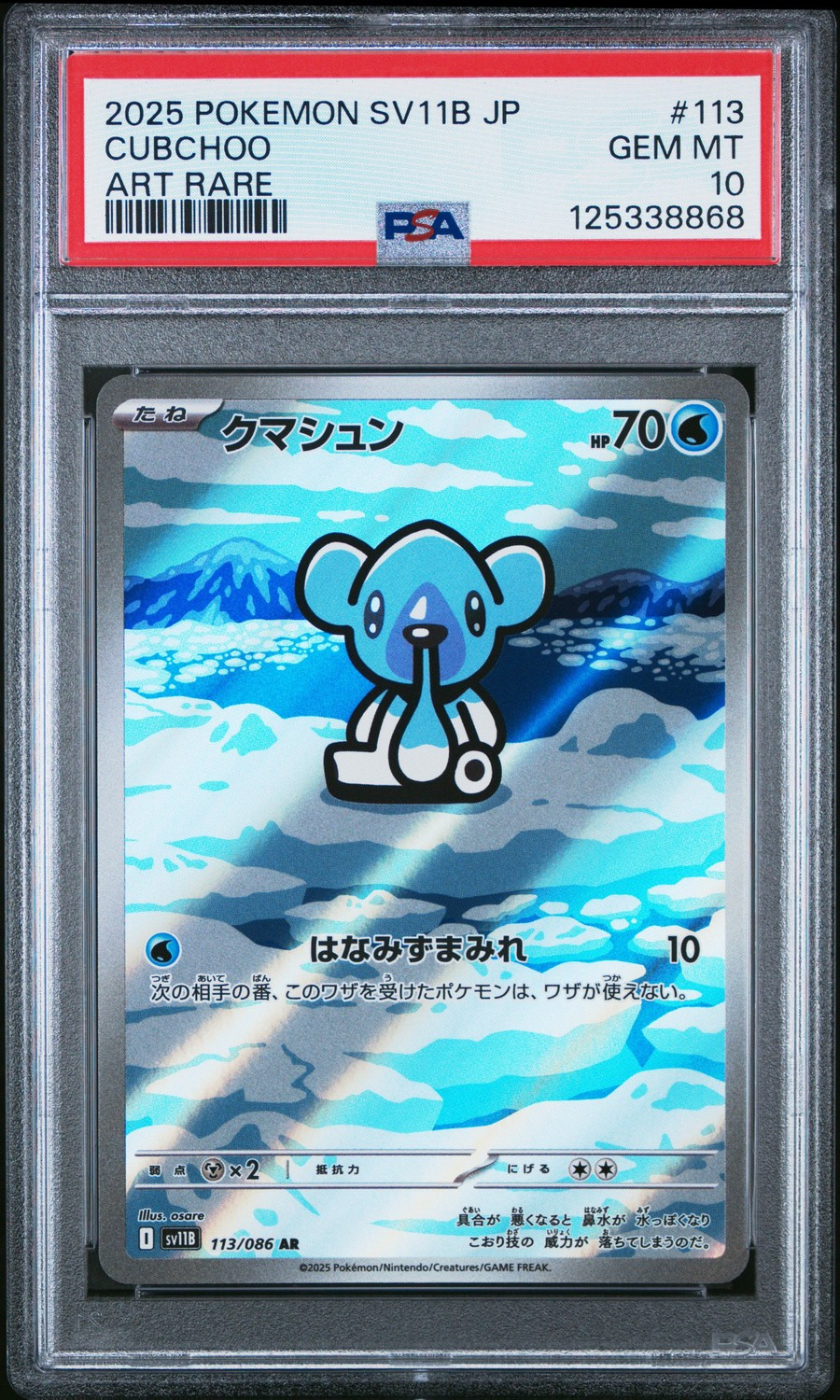 Cubchoo