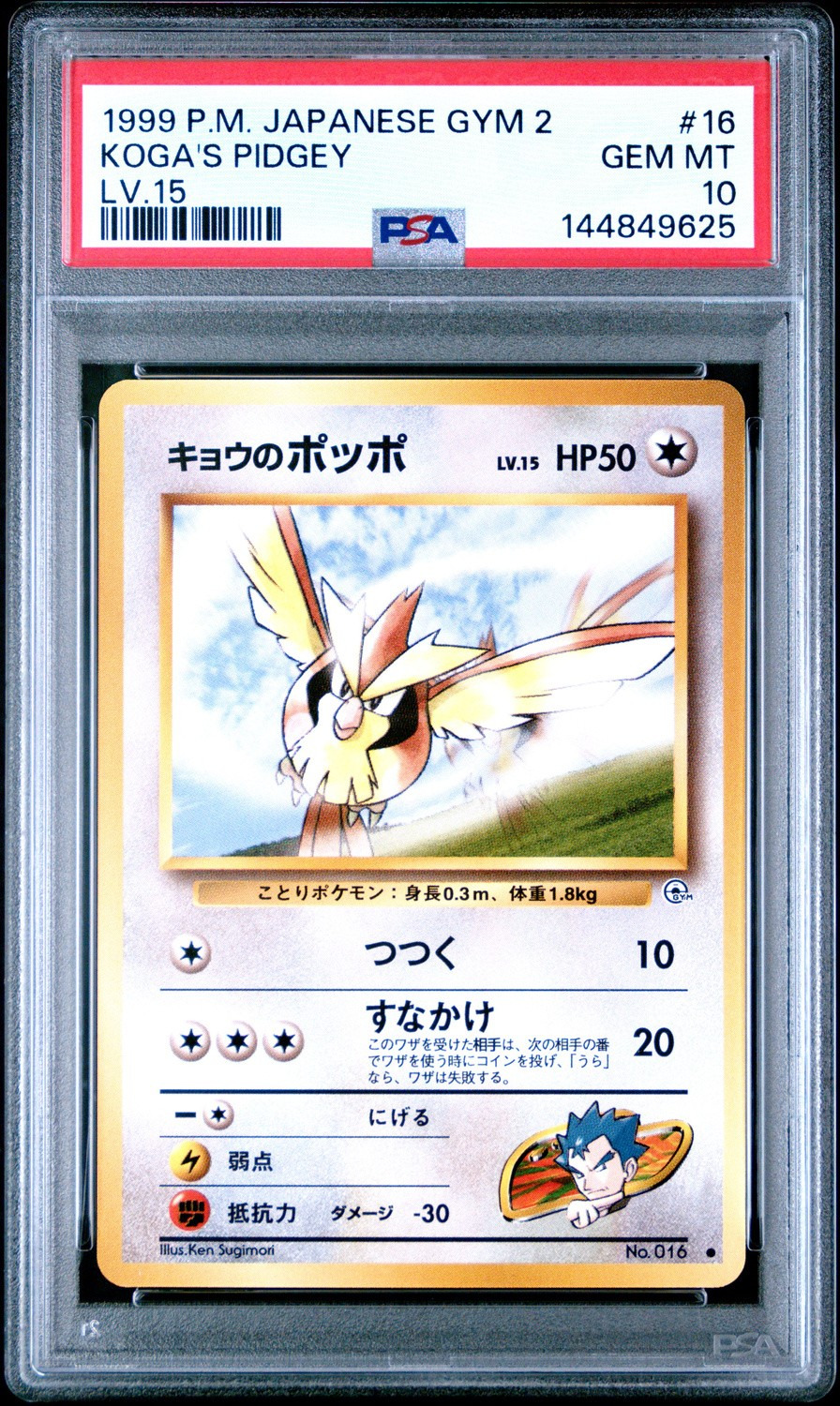 Koga's Pidgey