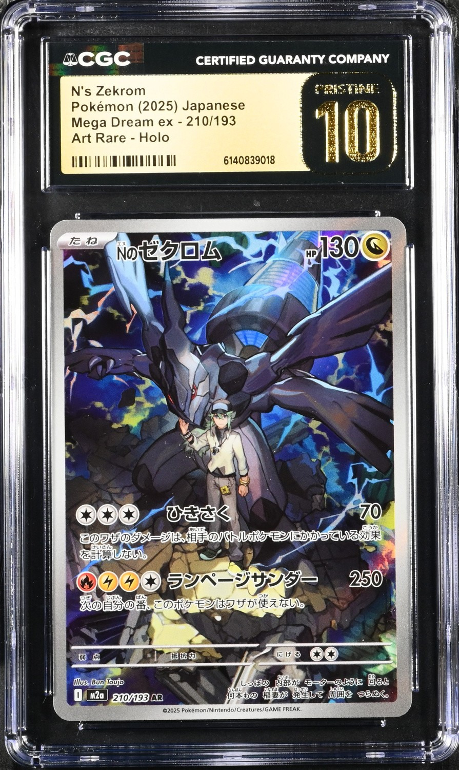 N's Zekrom