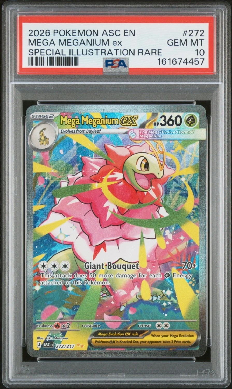 MEGA MEGANIUM ex