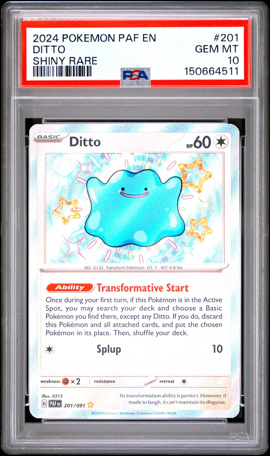 Ditto