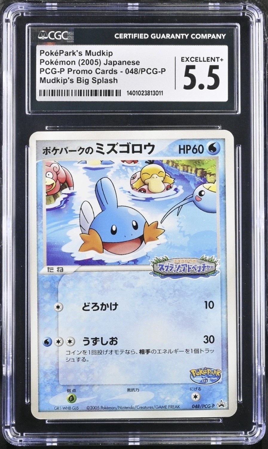PokePark's Mudkip