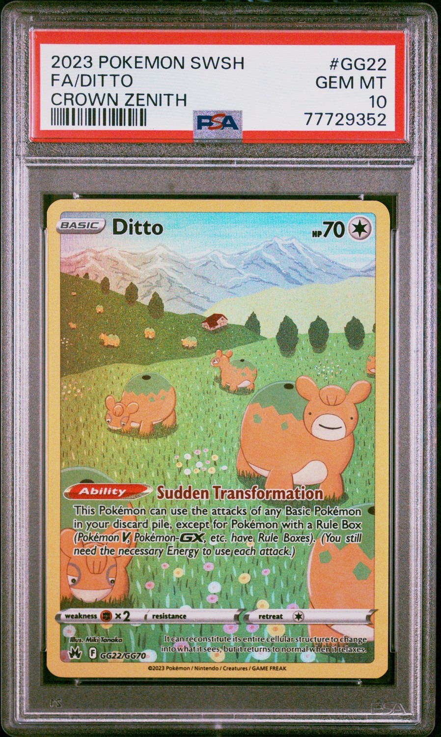Ditto