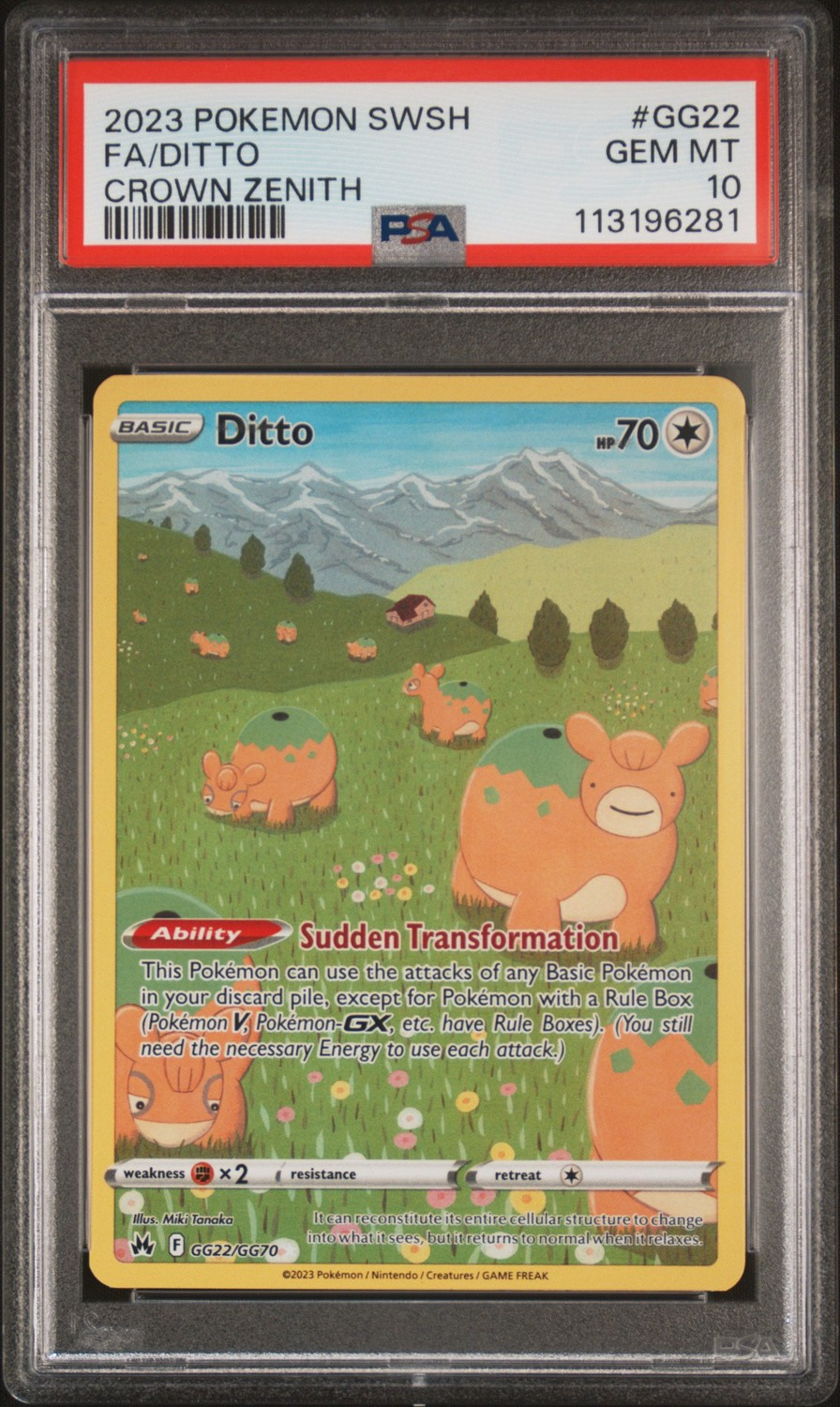 Ditto
