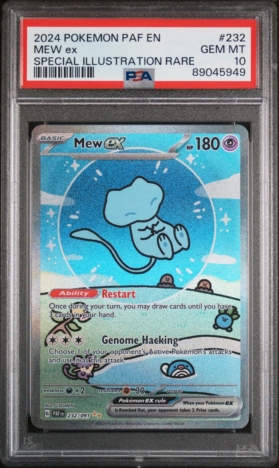 MEW ex