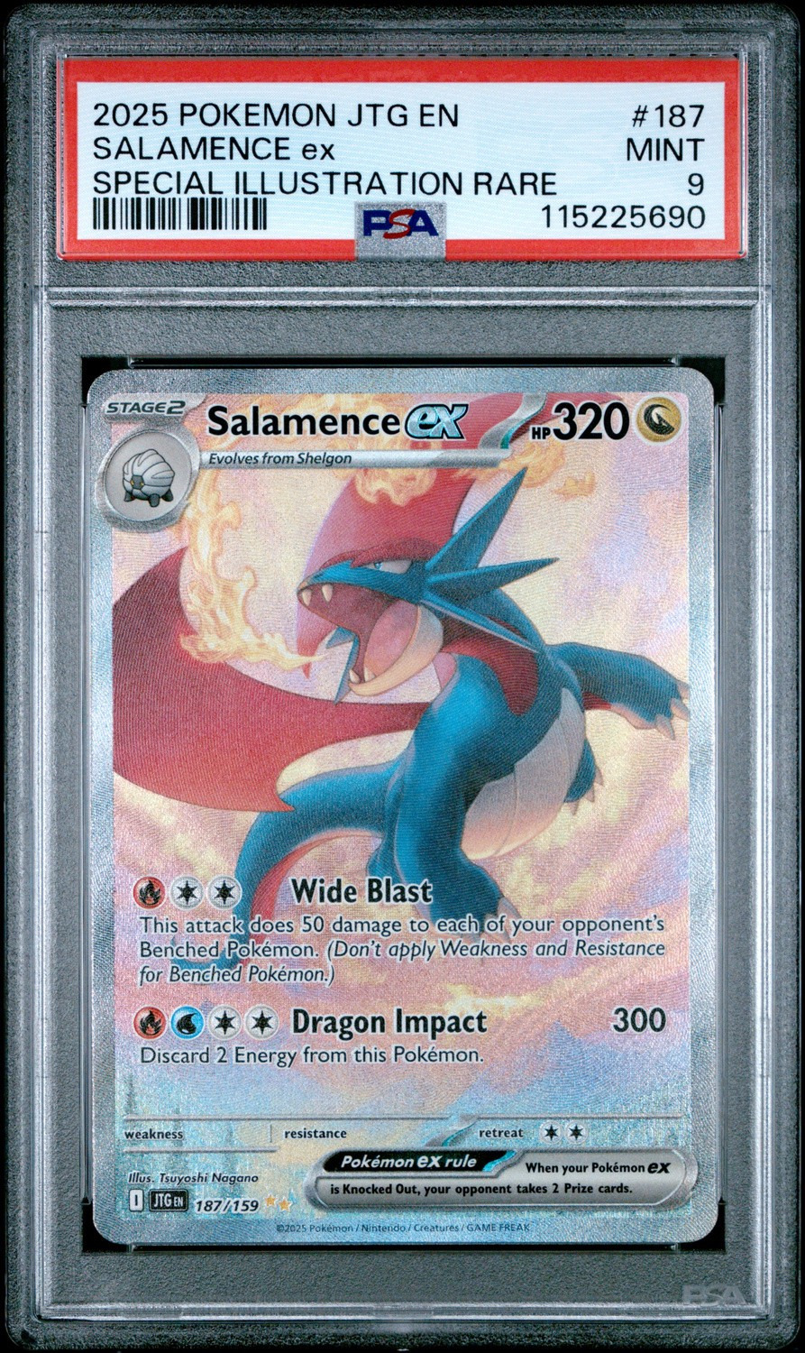 SALAMENCE ex