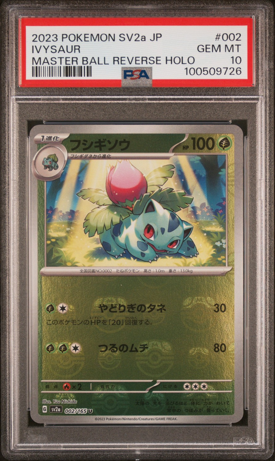 Ivysaur