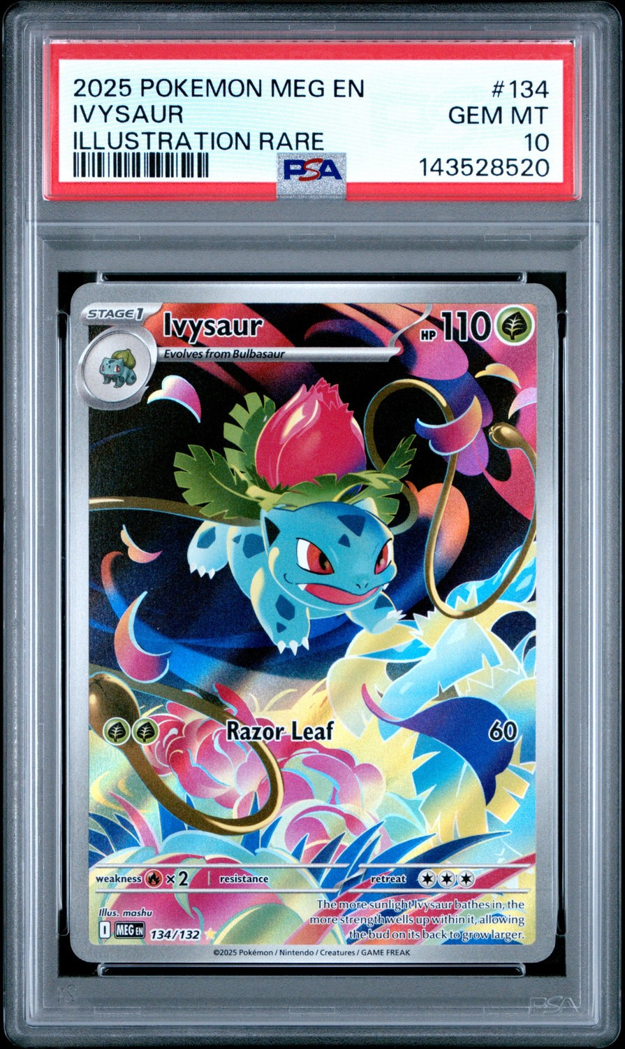 IVYSAUR