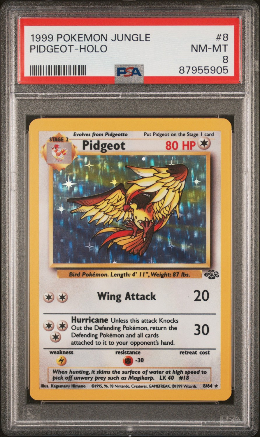 PIDGEOT