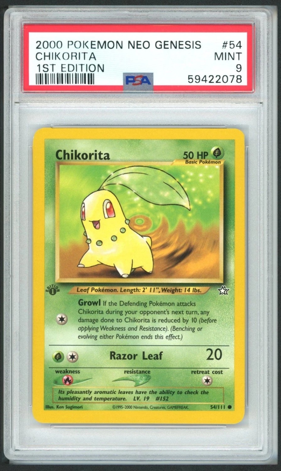 Chikorita