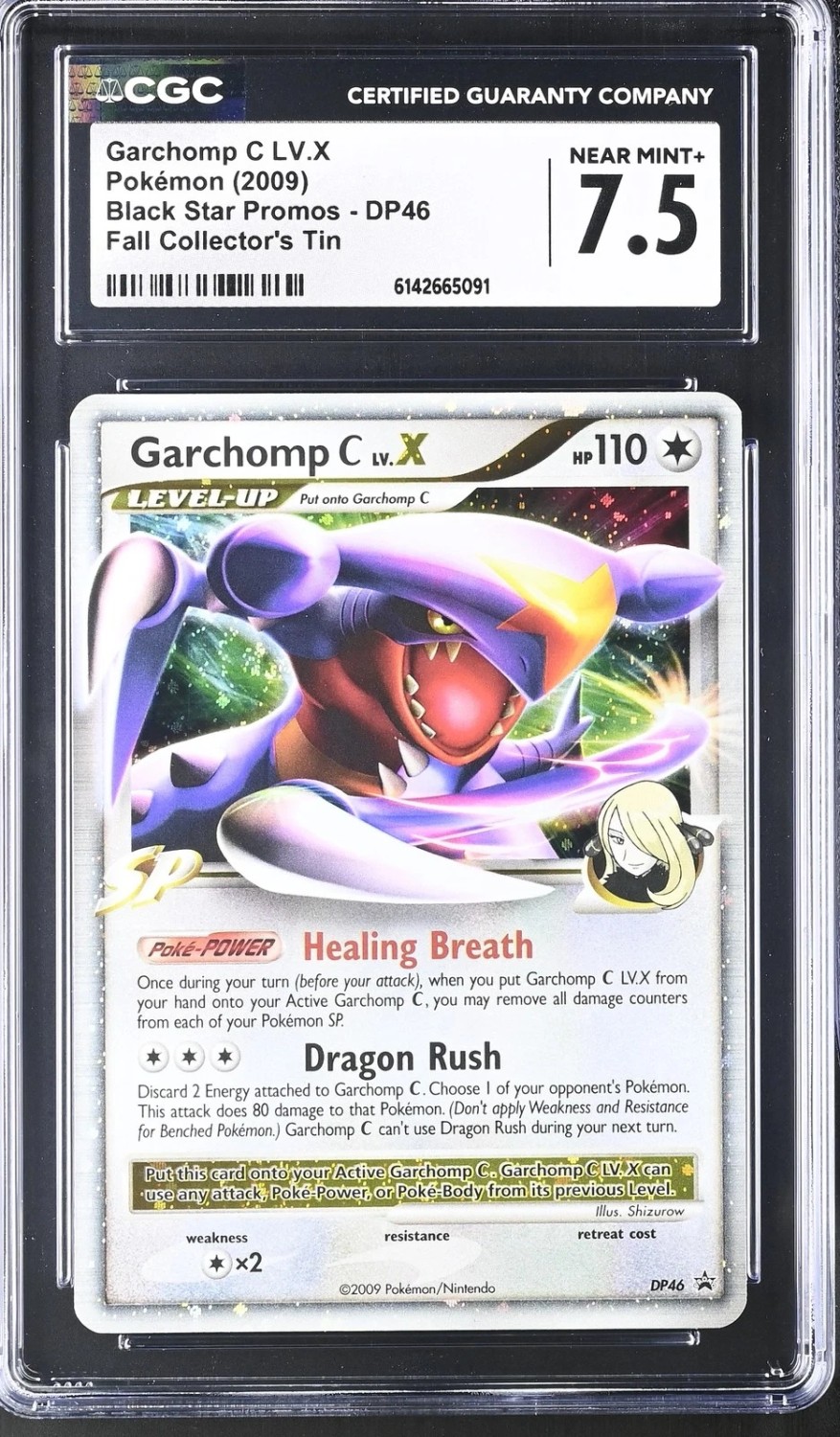 GARCHOMP C LV.X