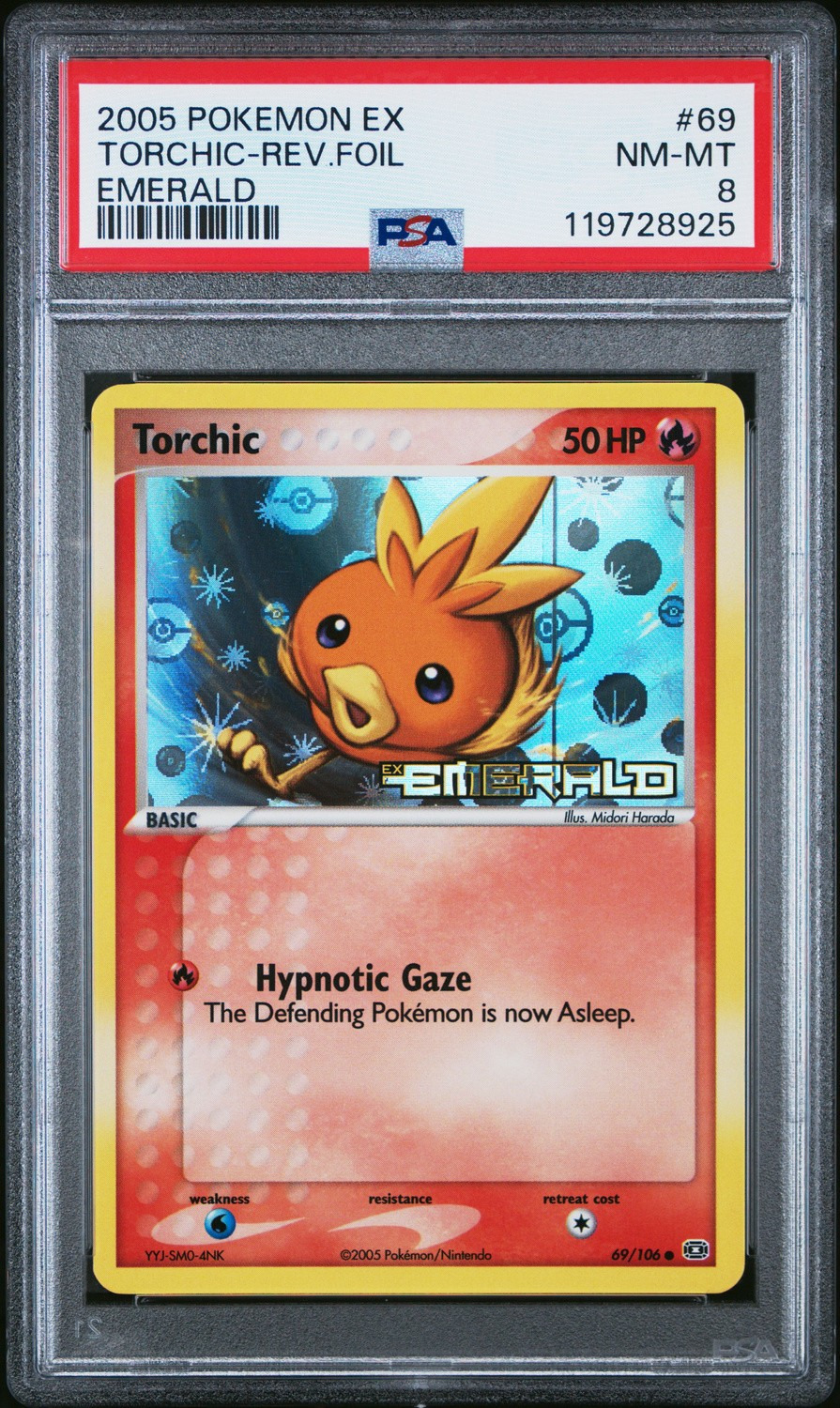 Torchic