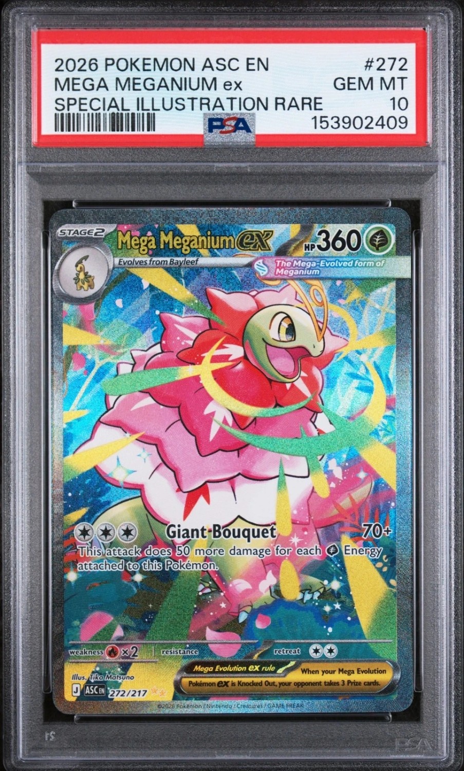 MEGA MEGANIUM ex
