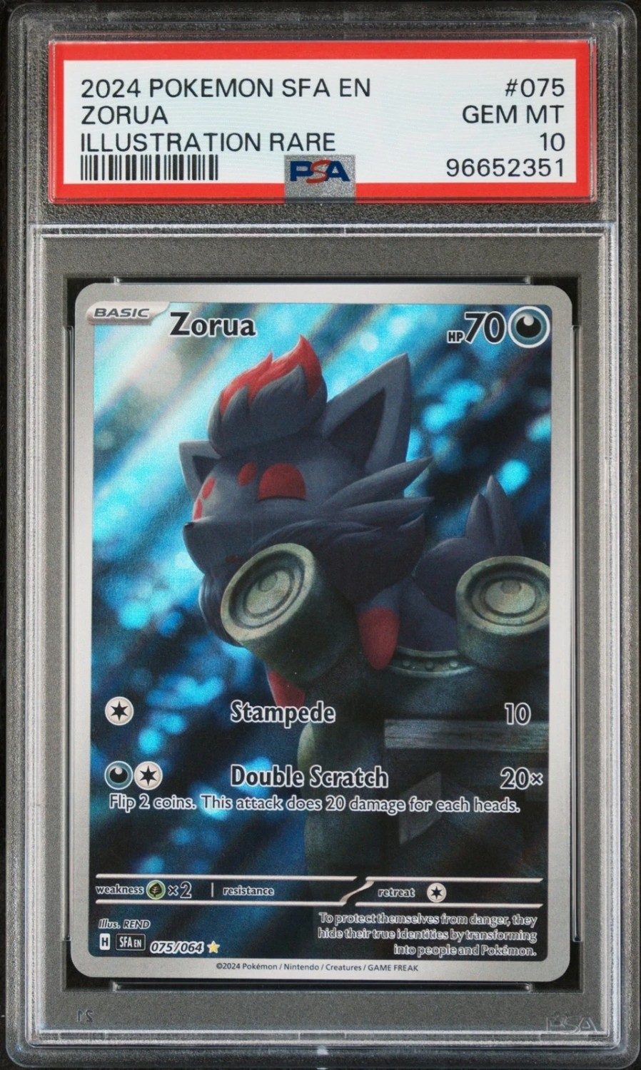 Zorua