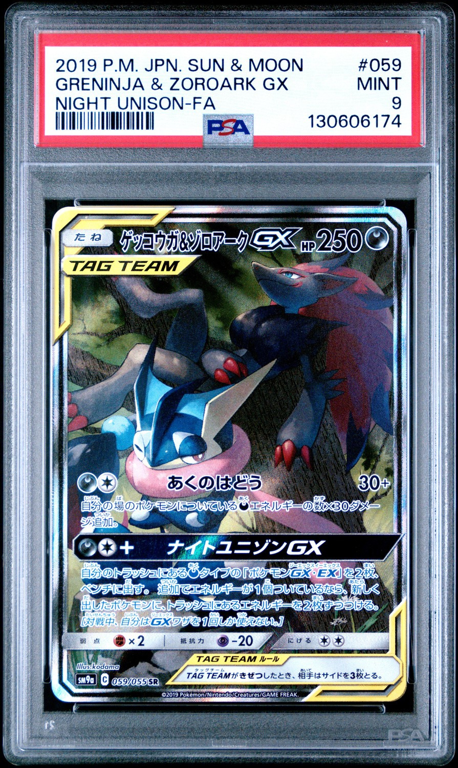 Greninja & Zoroark GX
