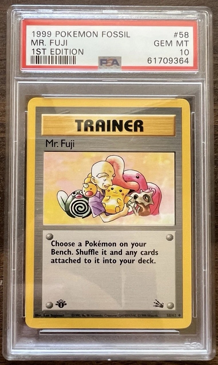 Mr. Fuji