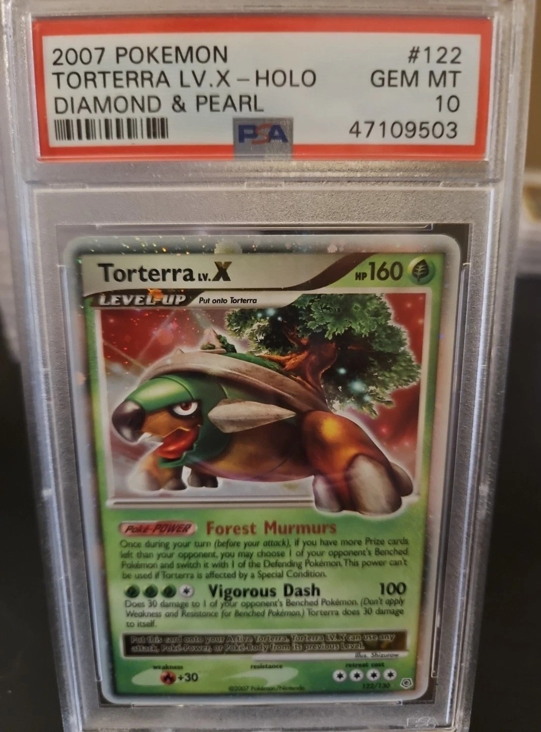 TORTERRA LV.X