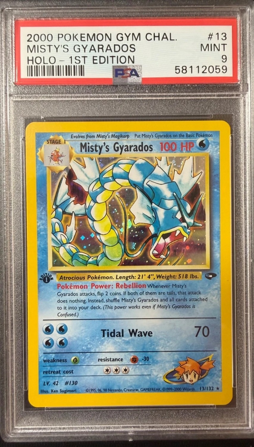 Misty's Gyarados
