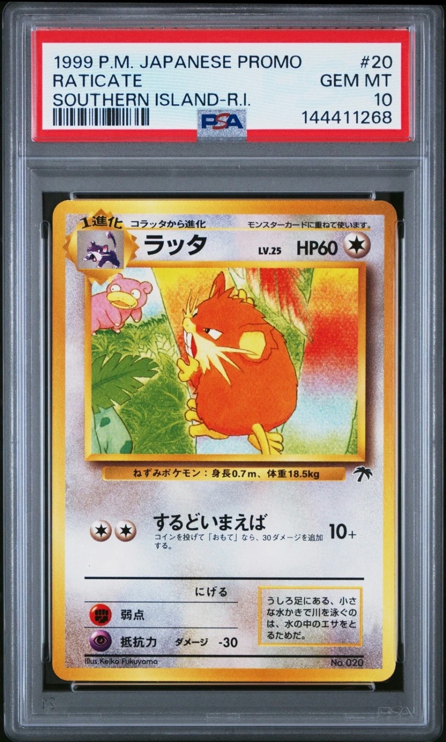 Raticate