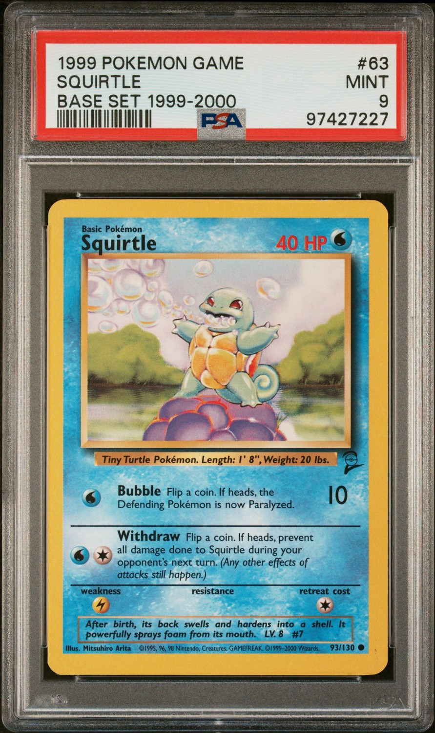Squirtle