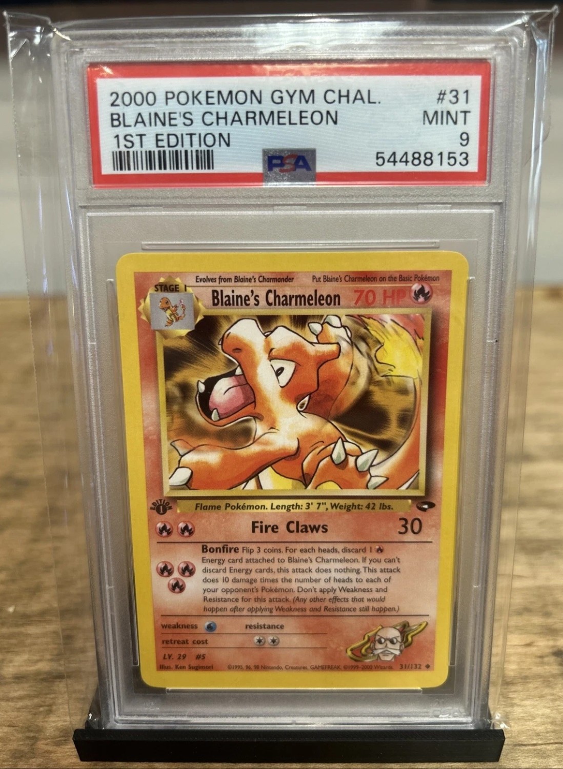 Blaine's Charmeleon