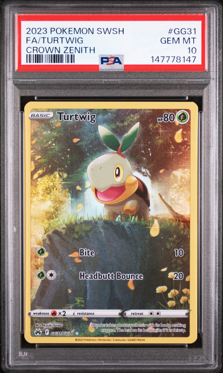 FA/TURTWIG