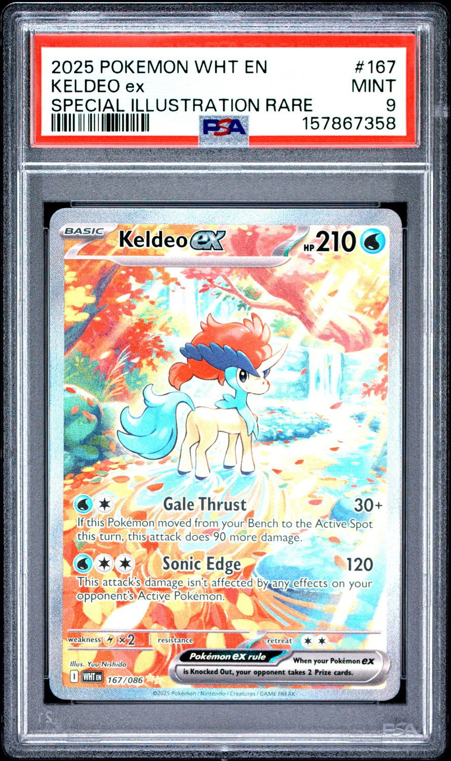 KELDEO ex