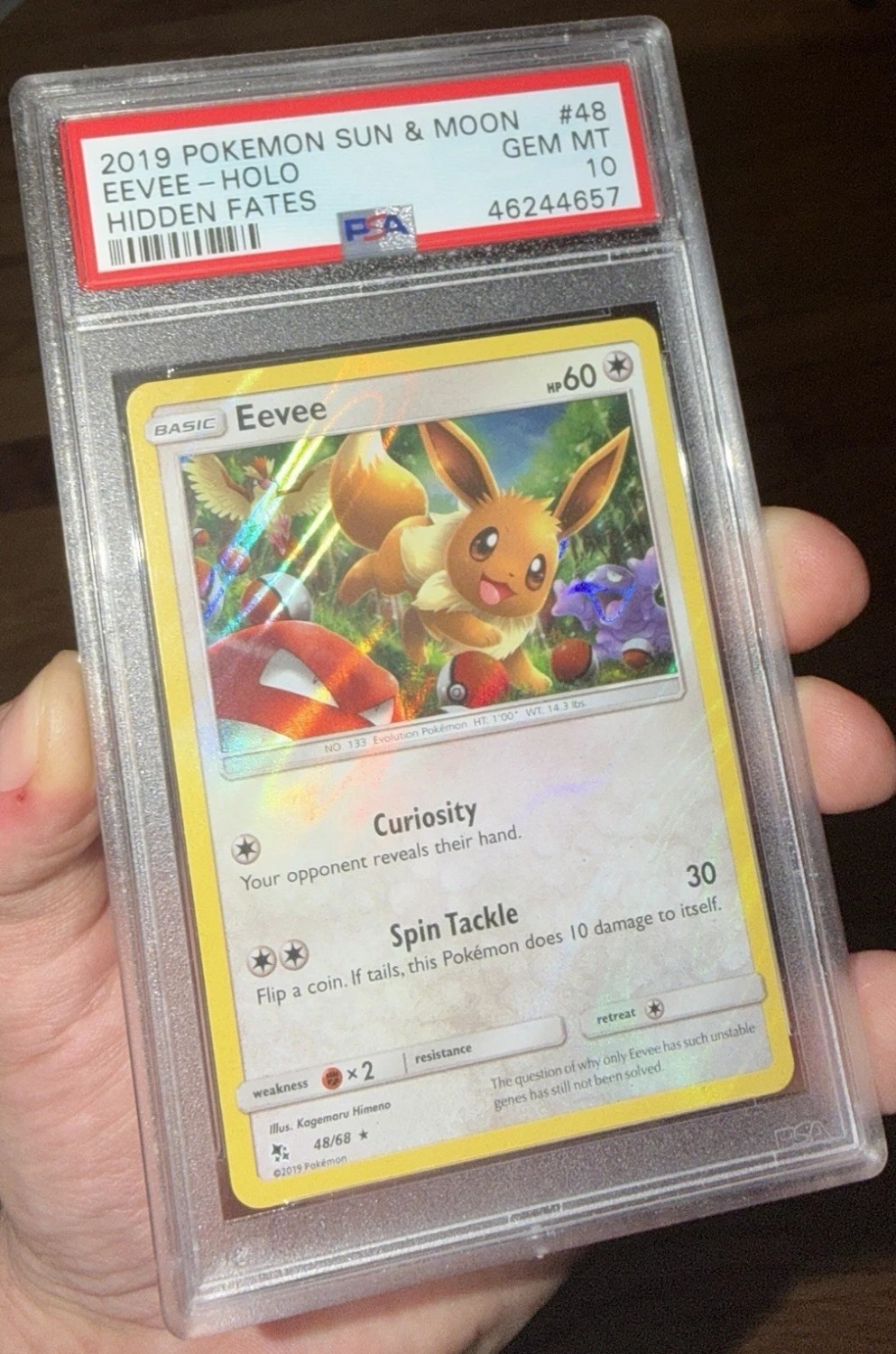 Eevee