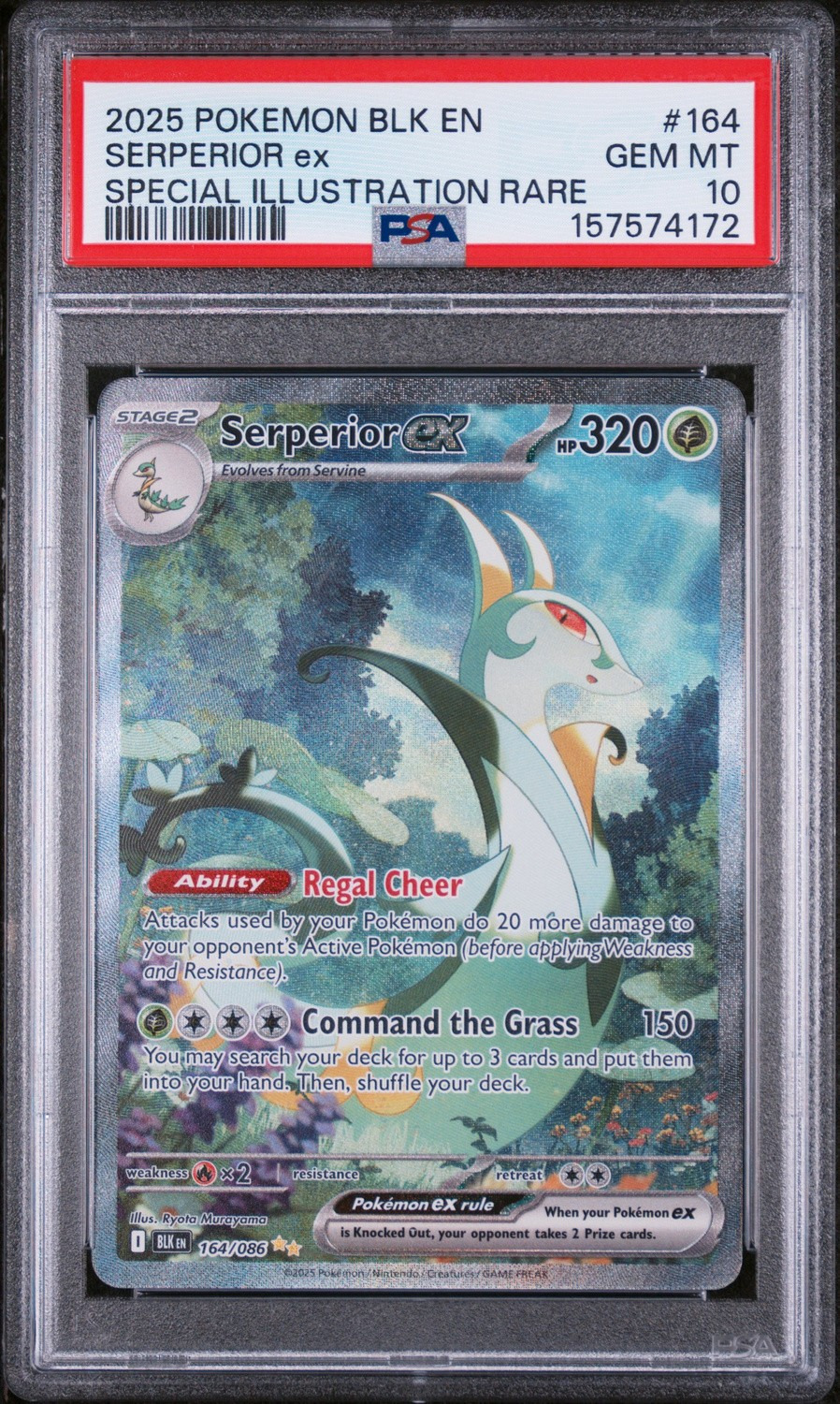 SERPERIOR ex