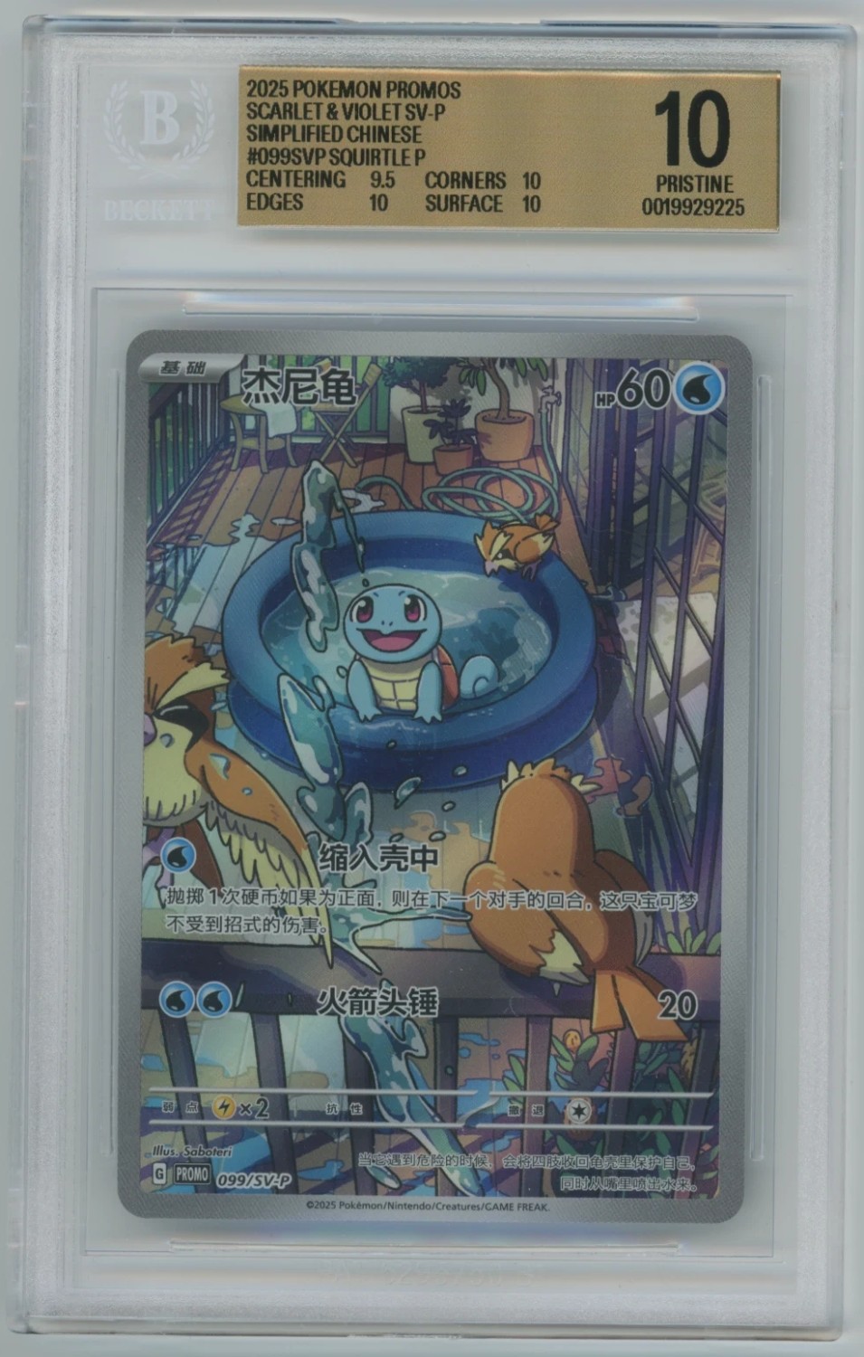 Squirtle