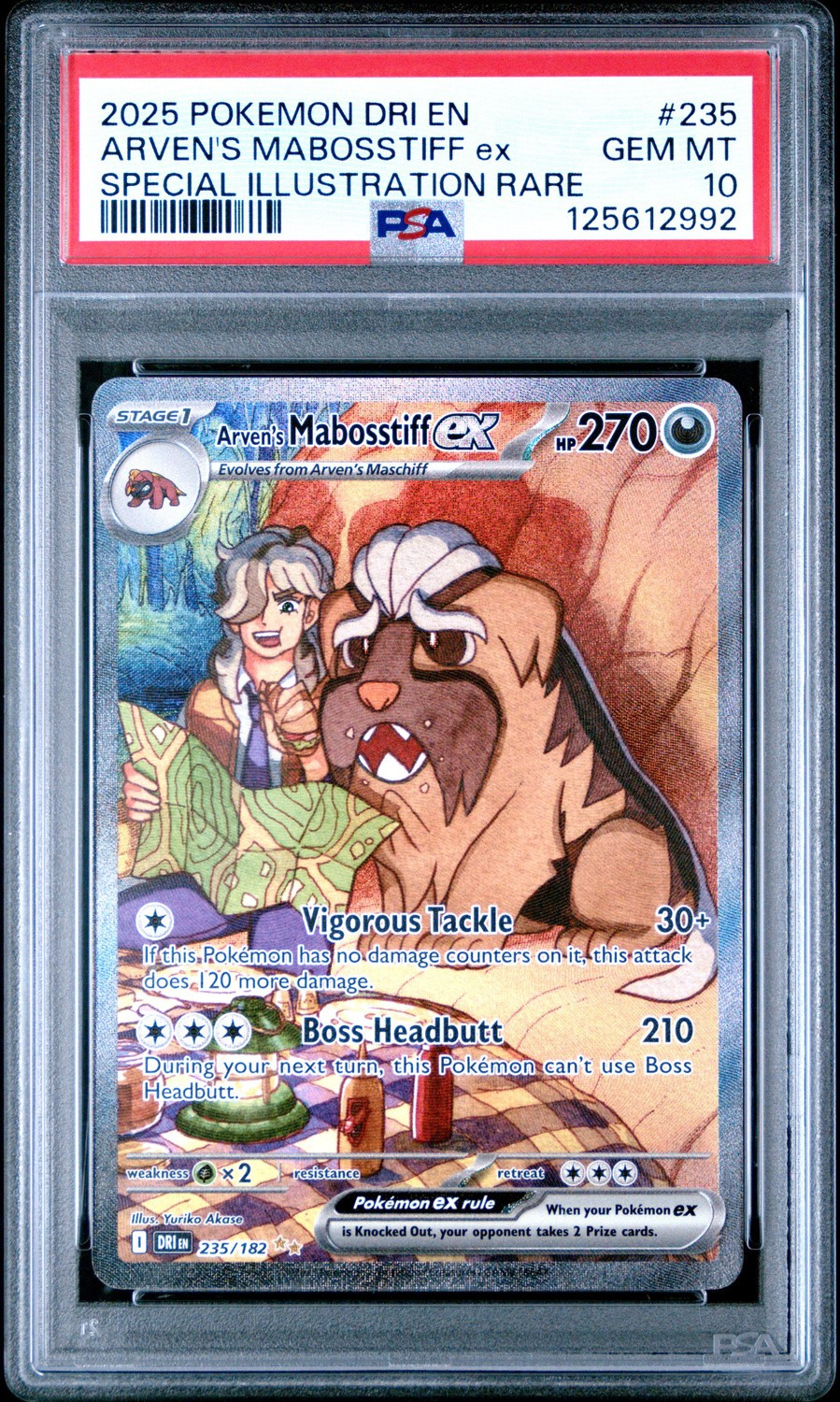 ARVEN'S MABOSSTIFF ex