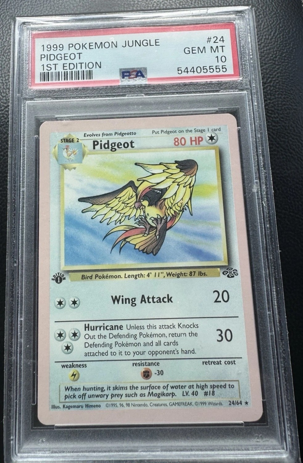 Pidgeot