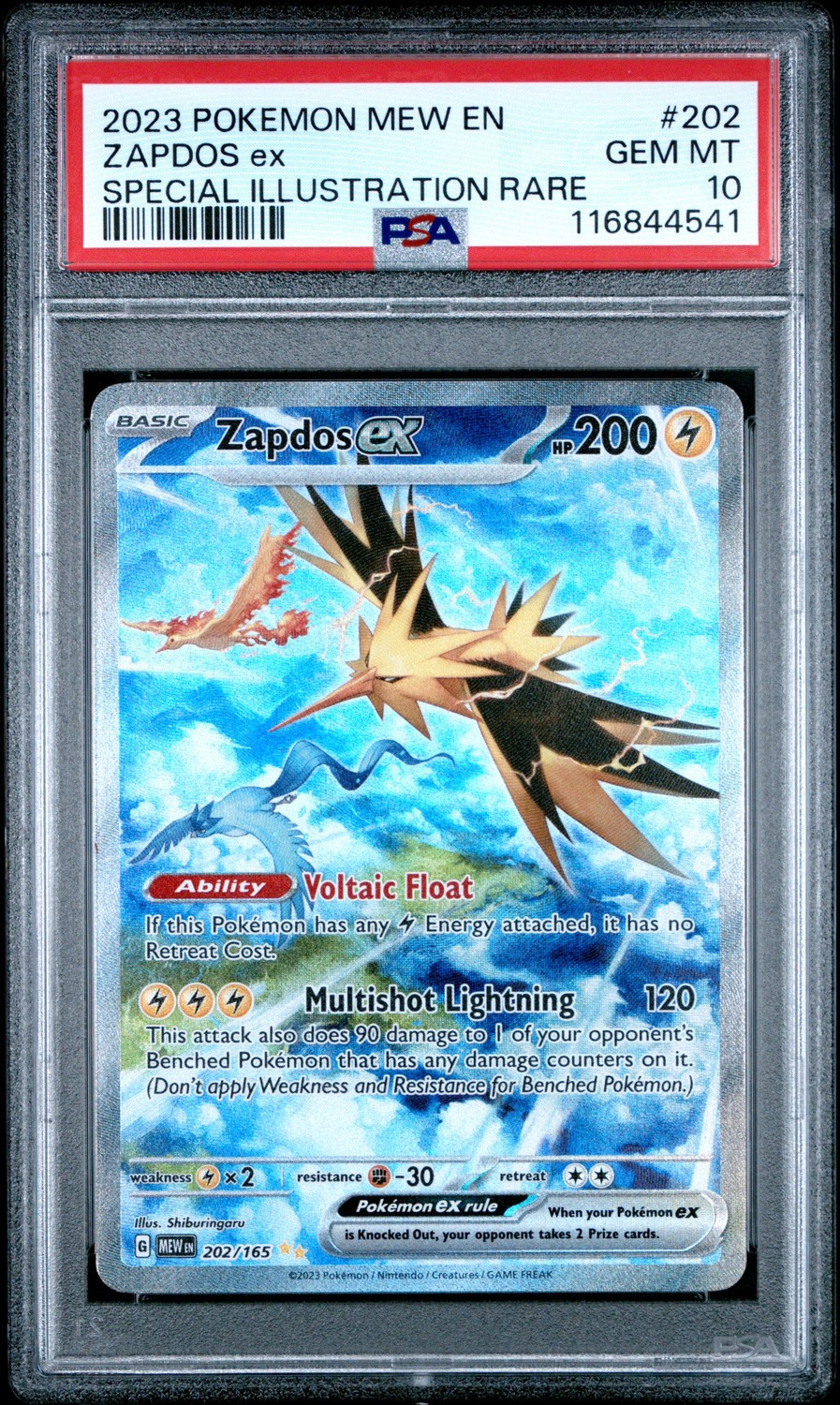 ZAPDOS ex
