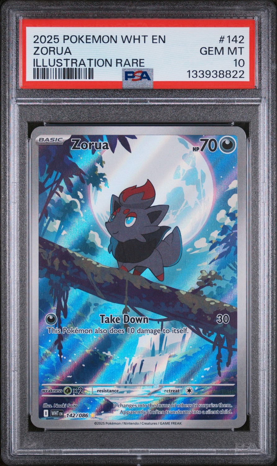 Zorua
