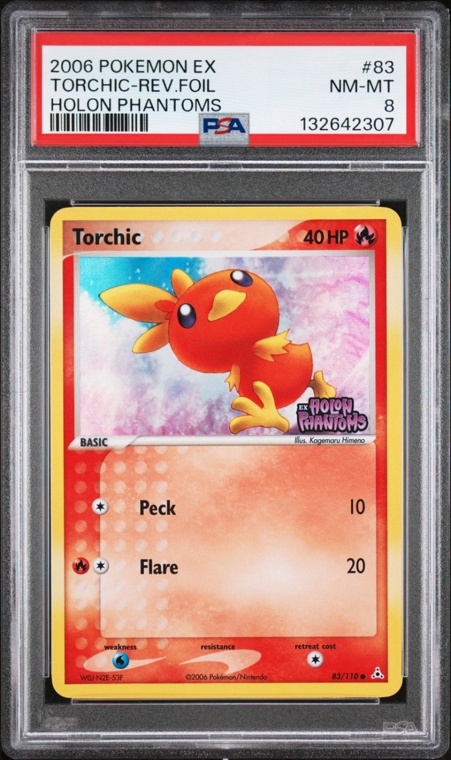 Torchic