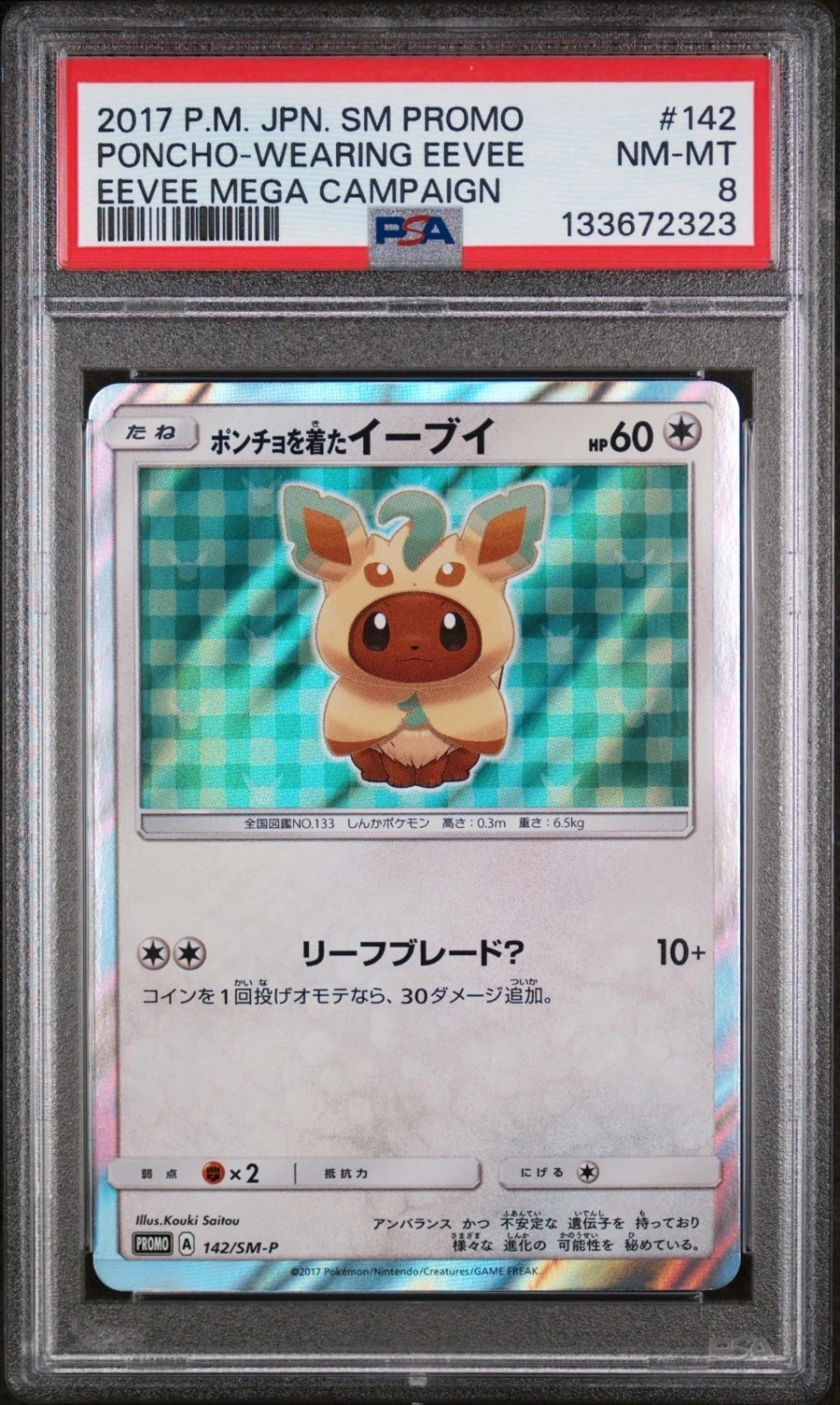 Poncho-Wearing Eevee